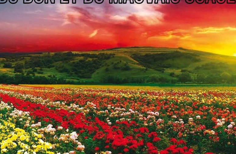 DU BON ET DU MAUVAIS USAGE DES UTOPIES “GÉNÉREUSES”