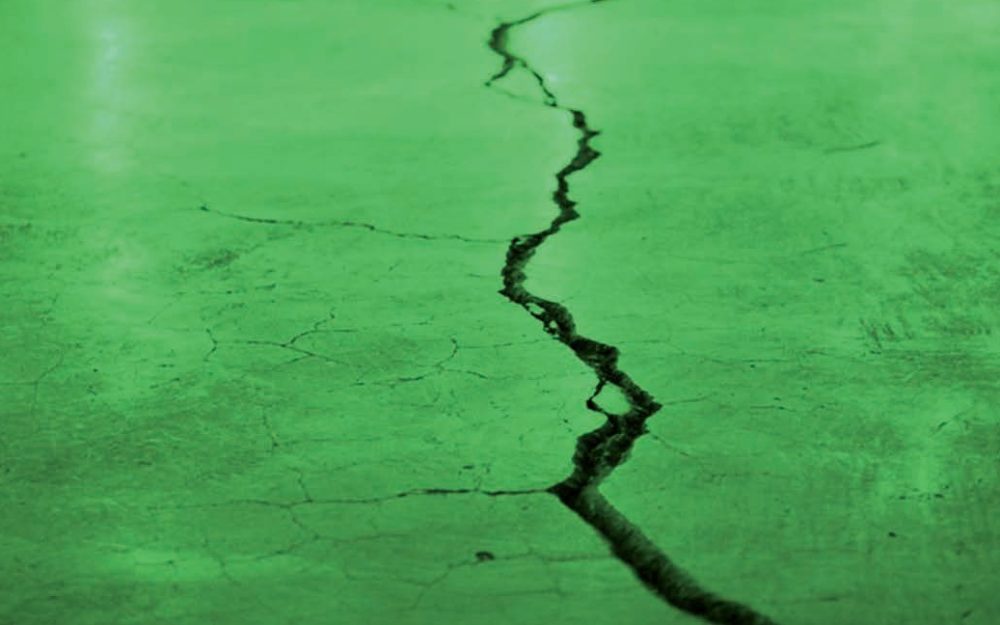 LIVRE-EXAMEN : ÉCOLOGIE RADICALE : LE MANIFESTE