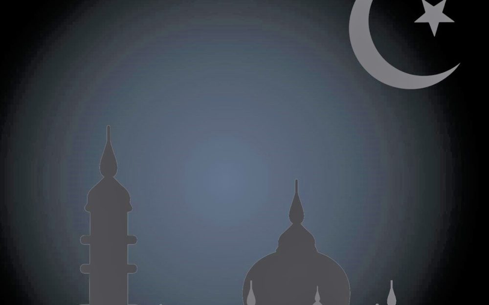 DJIHADISME : CROISADES POUR LA THÈSE UNIQUE
