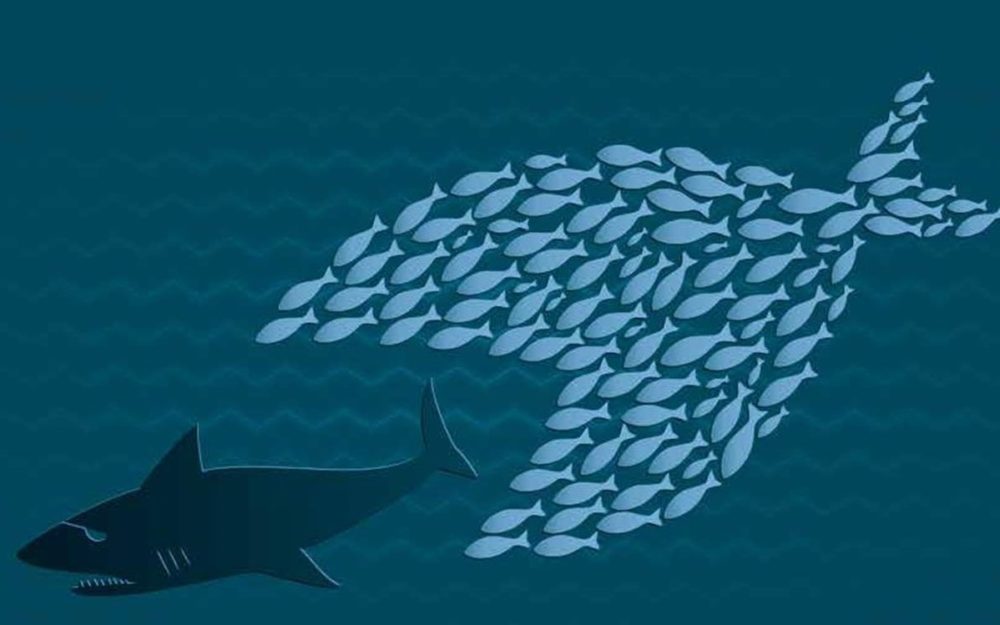 RE-APPROPRIONS-NOUS L’ÉCONOMIE COLLECTIVE !