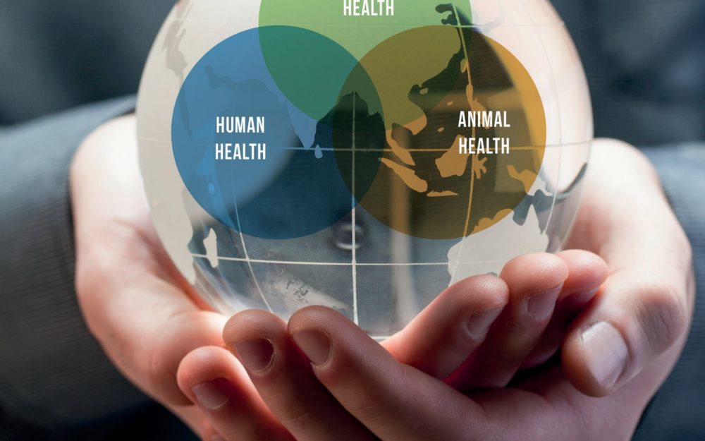 CAMPAGNE “ONE HEALTH”